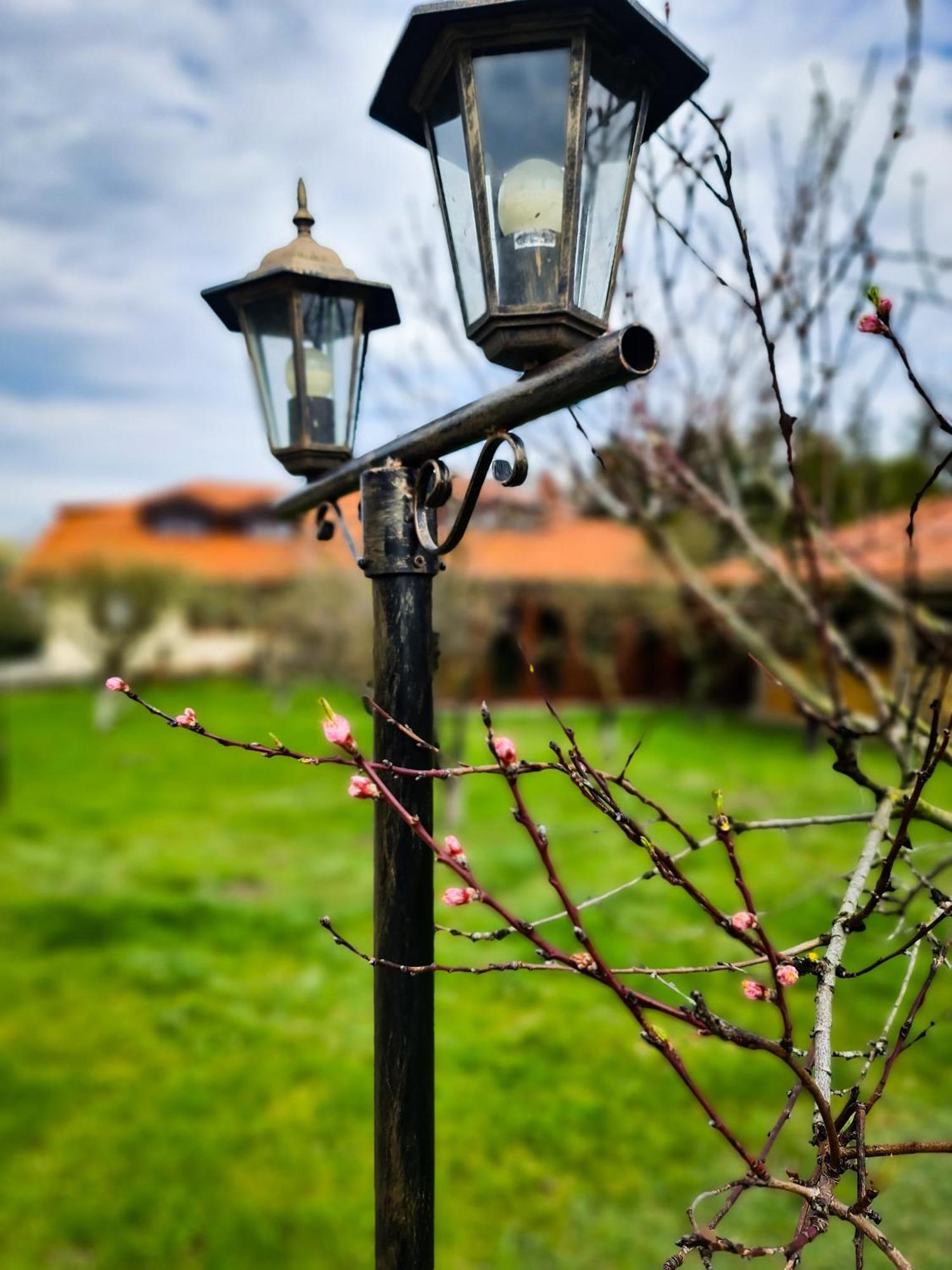 Gosciniec Gryszczeniowka & Spa Wargowo Luaran gambar