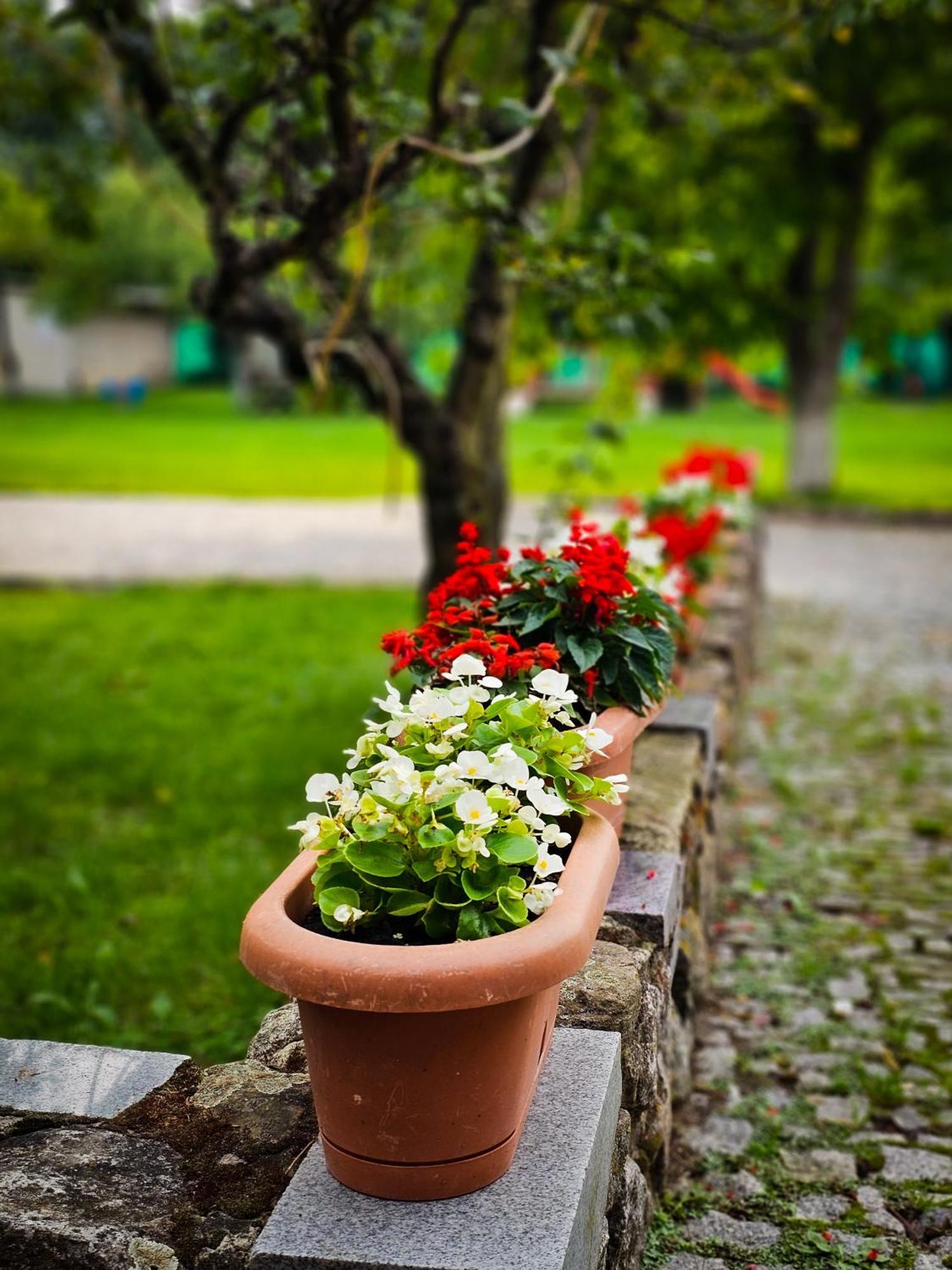 Gosciniec Gryszczeniowka & Spa Wargowo Luaran gambar