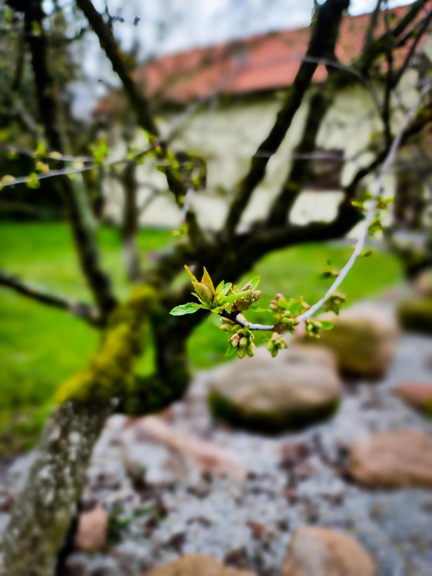 Gosciniec Gryszczeniowka & Spa Wargowo Luaran gambar