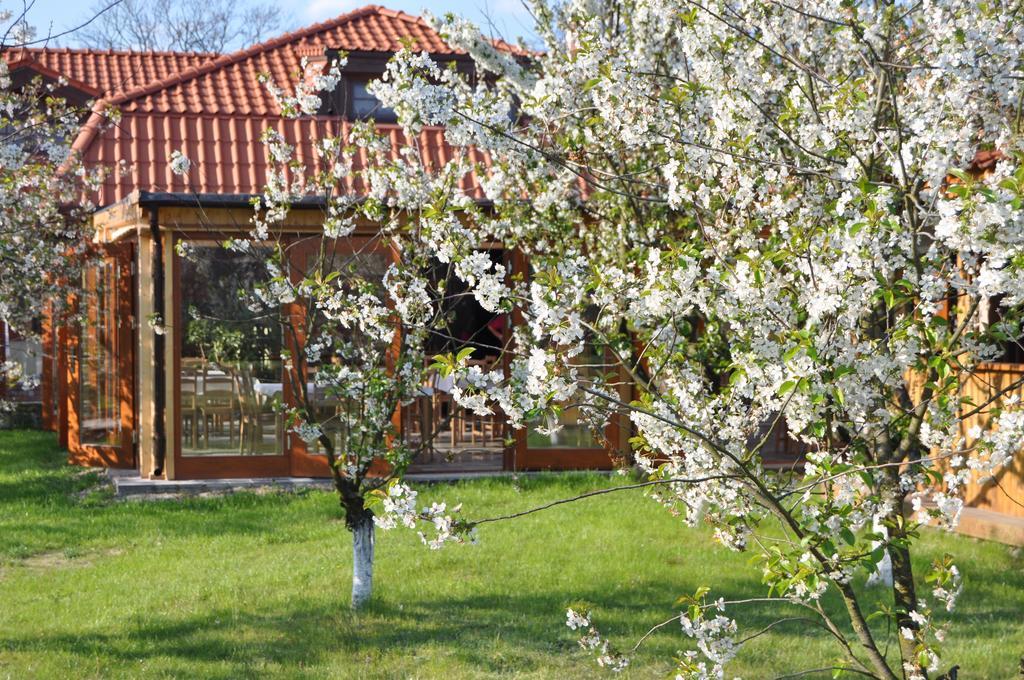 Gosciniec Gryszczeniowka & Spa Wargowo Luaran gambar